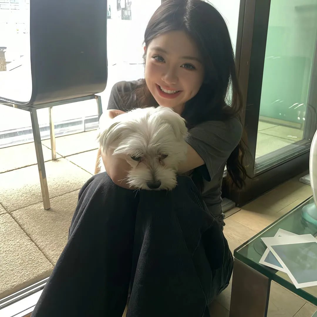 妙探肥羊